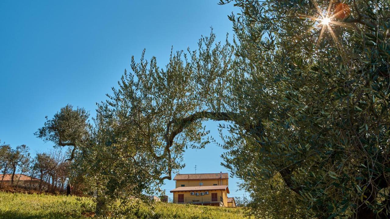 La Casa Del Vino - B&B Tollo Extérieur photo